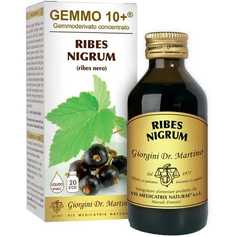 giorgini Ribes nero gemme 10+100ml gmg – immagine 5