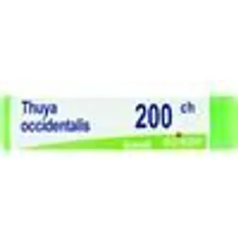 BOIRON Srl THUYA OCC.Dose 200CH – immagine 4