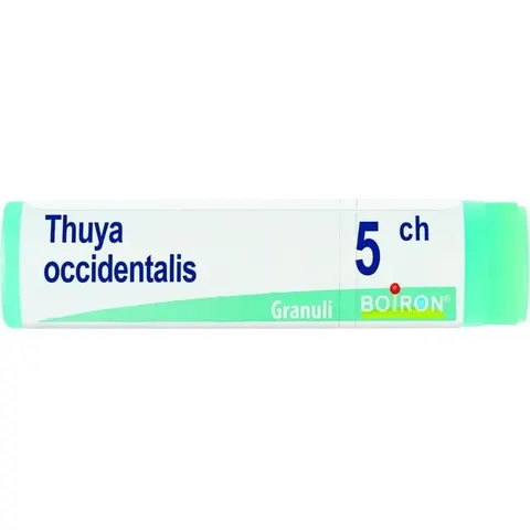 BOIRON Srl THUYA OCCIDENT 5CH GL – immagine 2