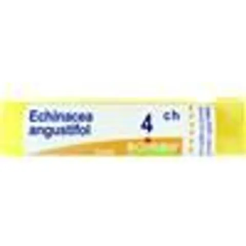 BOIRON Srl ECHINACEA ANGUST 4CH GR – immagine 2
