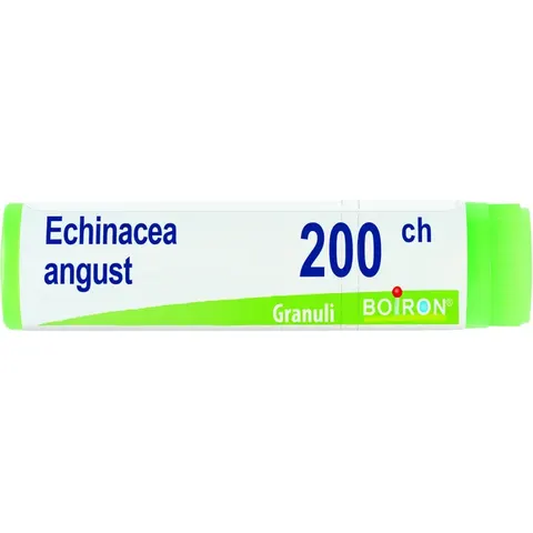 Boiron Echinacea Angust 200 Ch Dose 2020 – immagine 2