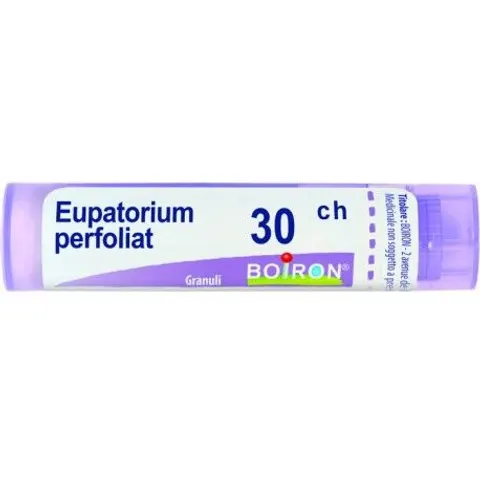 boiron Eupatorium perfoliatum 30ch – immagine 5