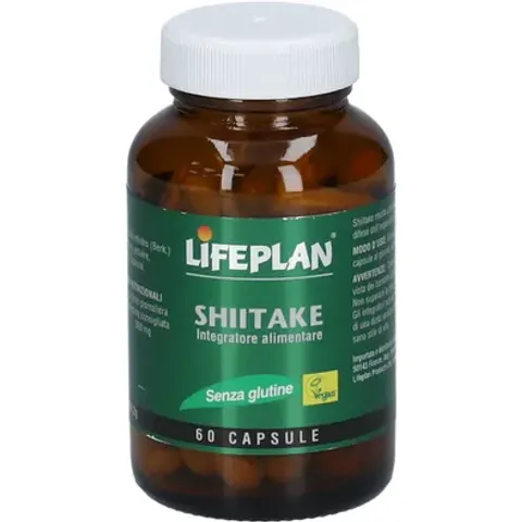 Shiitake 6Cps – immagine 3