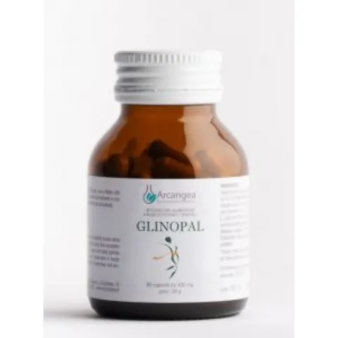 ARCANGEA Srl GLINOPAL 60 Opr Arcangea – immagine 2
