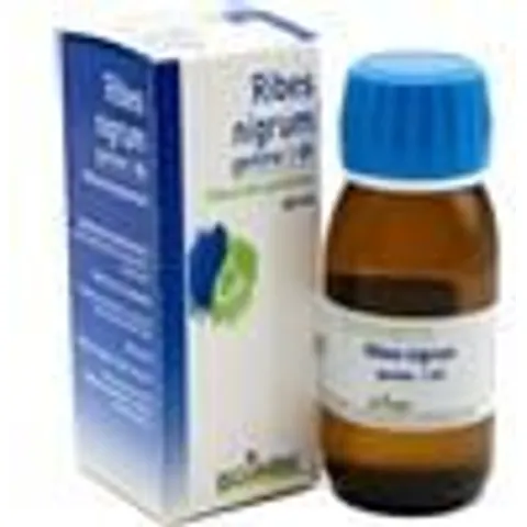 boiron Ribes nigrum gemme 60ml mg bo – immagine 4