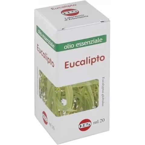 Kos Olio Essenziale Eucalipto, 20ml – immagine 4