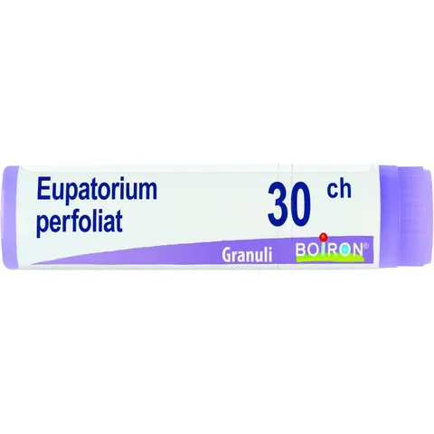 BOIRON Srl BO.EUPATORIUM PERFOLIA 30CH DO – immagine 2