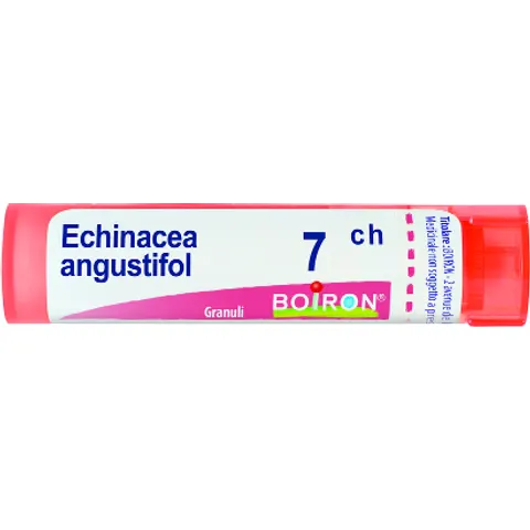 BOIRON Srl BO.ECHINACEA ANGUST 7CH GR – immagine 2