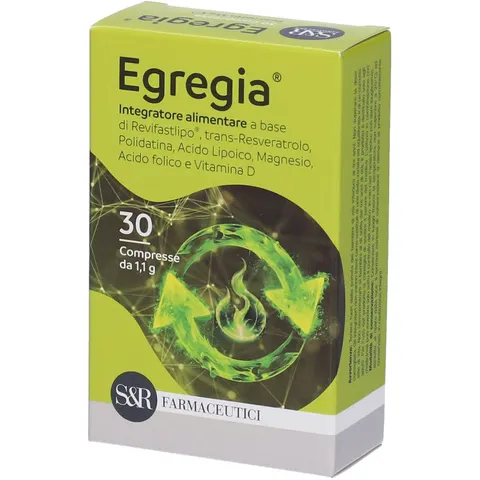 Egregia 3Cpr – immagine 5