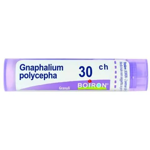 Gnaphalium Polycephalum 30ch Boiron – immagine 2