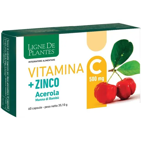 Vitamina C 500mg con Zinco, Acido Ascorbico e Biotina - 60 Capsule – immagine 3