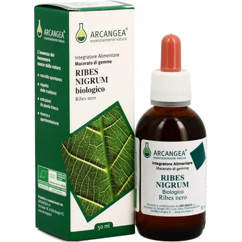 Arcangea Ribes Nigrum Gd 33 Bio 100 ml – immagine 2