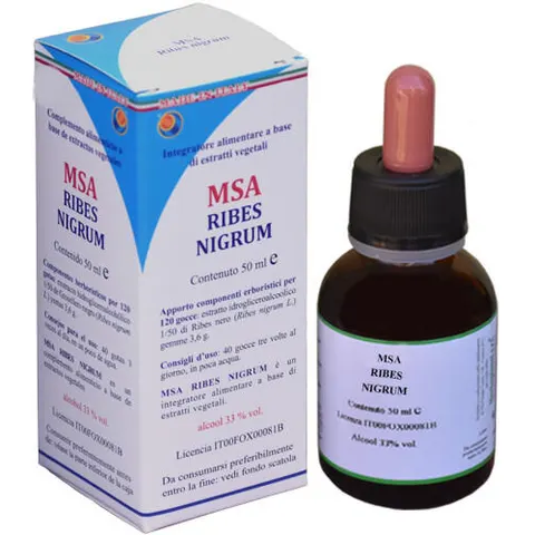 herboplanet Msa ribes nigrum 100 ml – immagine 4