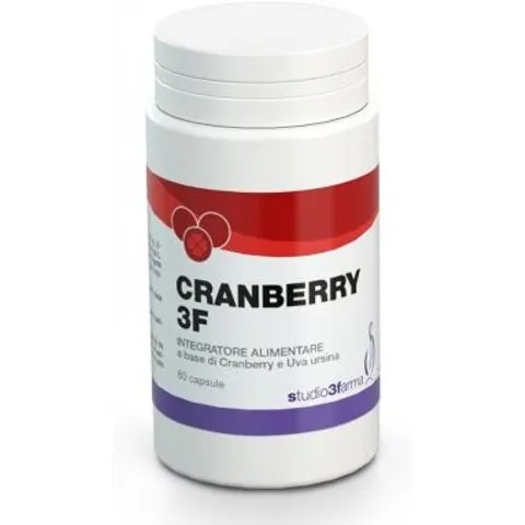 Studio CRANBERRY 3F 60CPS – immagine 3