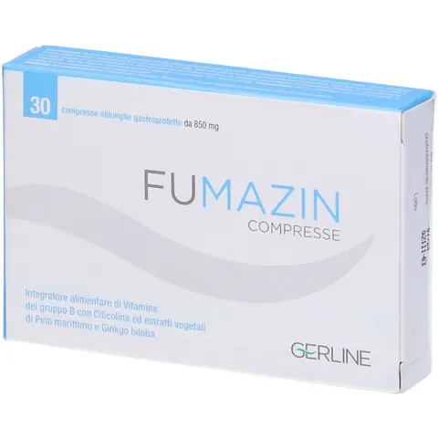 GERLINE Srl FUMAZIN Cpr – immagine 2