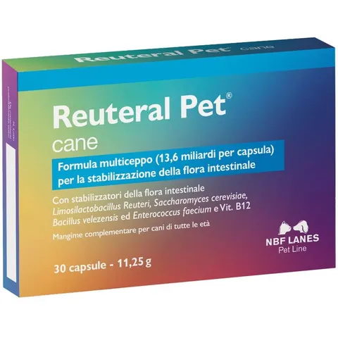 Reuteral PET Cane 30CPS – immagine 3