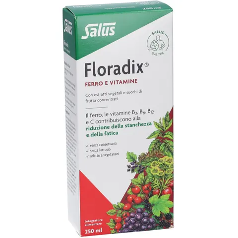 floradix integr.ferro 250ml – immagine 5