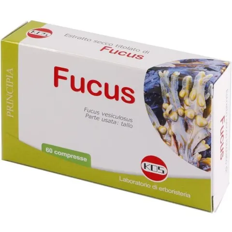 KOS Srl FUCUS ESTR SEC 60CPR – immagine 3