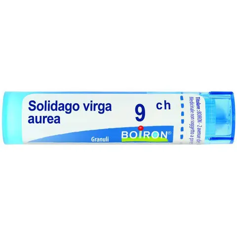 BOIRON Srl SOLIDAGO VIRGA AUREA GRAN 9CH – immagine 3