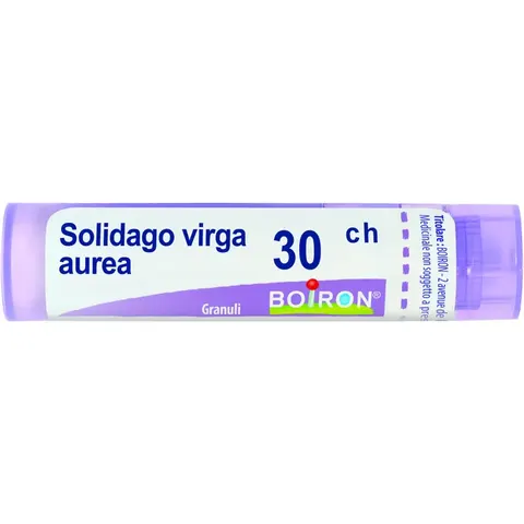 Boiron Solidago Virga Aurea 30Ch Granuli – immagine 4