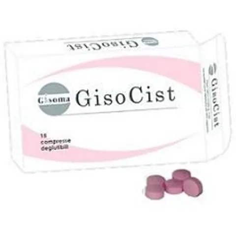 GISSOMA Srl GISOCIST 15 Cpr – immagine 2
