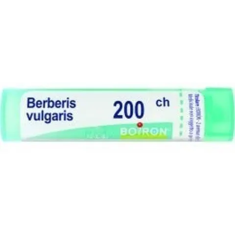 BOIRON Srl BERBERIS VULG.Dose 200CH – immagine 2