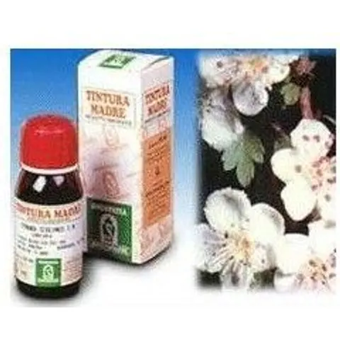 specchiasol Sp.biancospino tm 50ml – immagine 3