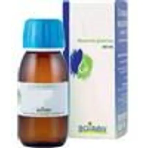 boiron Rosmarinus off 60ml mg – immagine 4