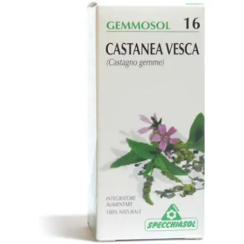 Specchiasol Gemmosol 16 Castagno 50ML – immagine 2