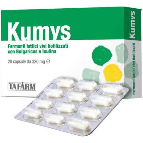 TAFARM Srl KUMYS 320mg 20 Cps – immagine 2