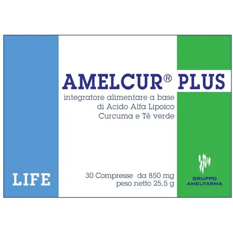 GRUPPO AMELFARMA di Cioni V. AMELCUR PLUS 30CPR – immagine 3