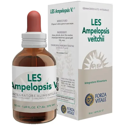 Les Ampelopsis Weitchii Gocce – immagine 4