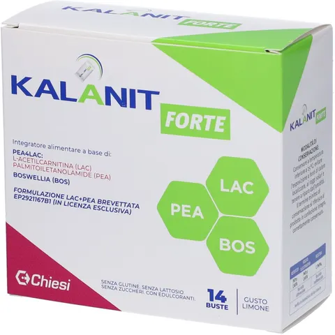 Kalanit Forte 14Bust – immagine 5