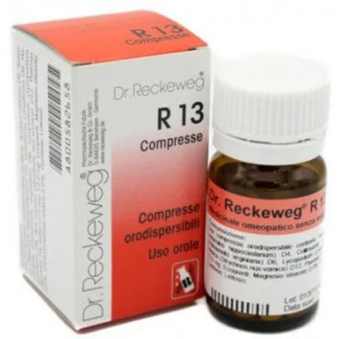 Dr.Reckeweg R13 100 Compresse – immagine 2