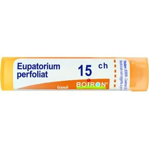 Eupatorium Perfoliatum 15ch Boiron – immagine 3