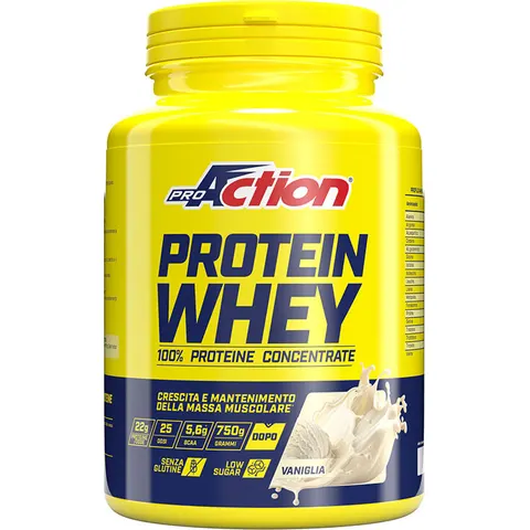PROACTION Protein Whey Concentrate 750 G – 663931 – immagine 2