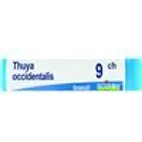 BOIRON Srl THUYA OCC.Dose 9CH – immagine 4