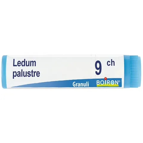 boiron Ledum palustre 9ch gl bo – immagine 3