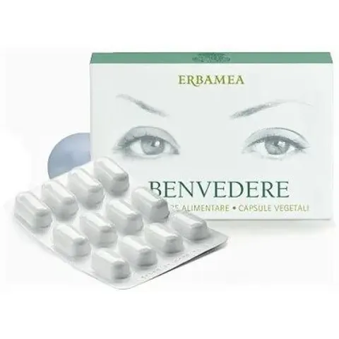 Benvedere 24CPS Erbamea – immagine 3