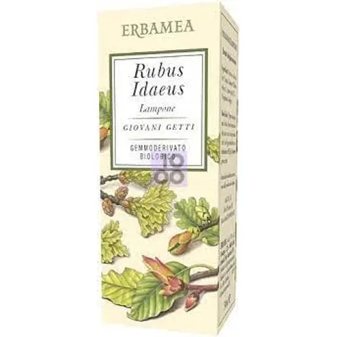 Rubus Idaeus Lampone 50ml Erbamea – immagine 3