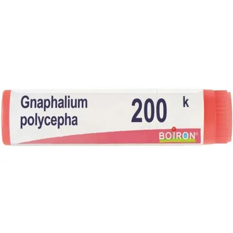 BOIRON Srl GNAPHALIUM POLYCEPHALUM 200K – immagine 2