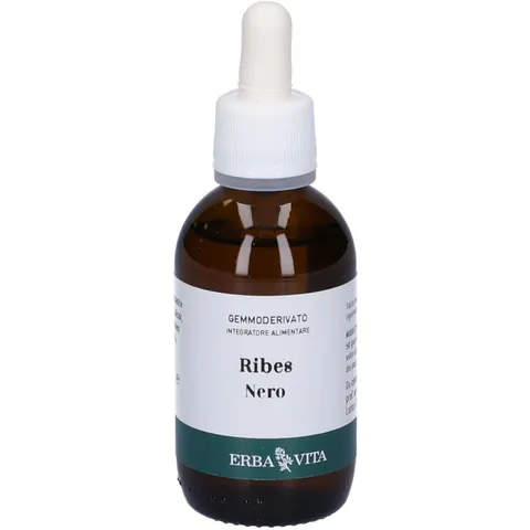 Erba Vita Gemmoderivato Ribes Nero 50 ml – immagine 4