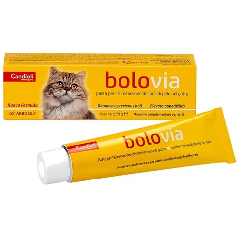 candioli Bolo Via Pasta 50g – immagine 4