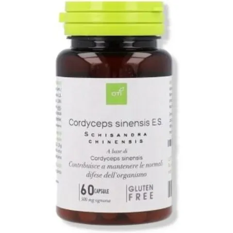 Oti Cordyceps Sinensis 6Cps – immagine 3