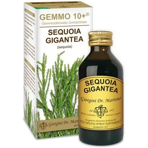 Giorgini Sequoia 100 ml Analco Gemmo 10+ – immagine 2