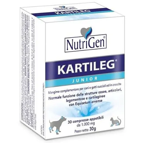 Kartileg J 60 Tavolette – immagine 4