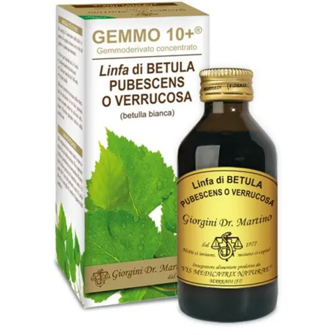 giorgini Betulla bianca gemmo 10+ 100ml – immagine 2