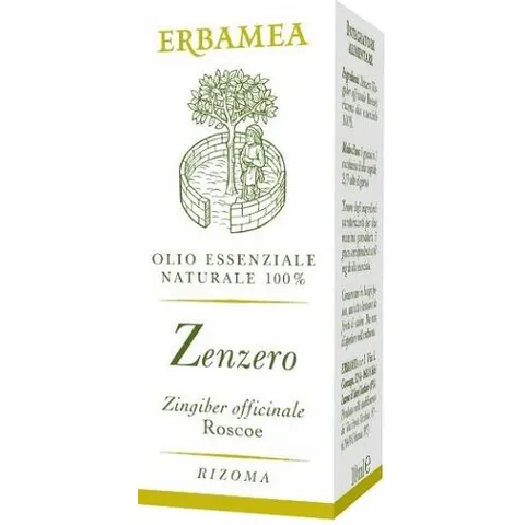 Erbamea Zenzero 10ml – immagine 2
