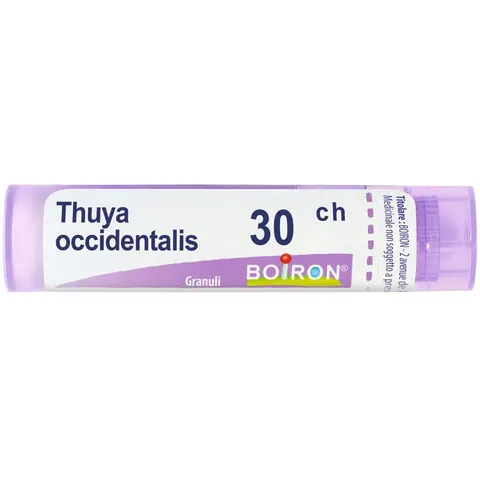 boiron Thuya occident 30ch gr bo – immagine 3