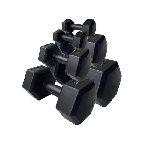 HXGN 12kg Hex Dumbbell Set – image 2